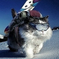 Игорь Стрижаков, 19.06, Новороссийск