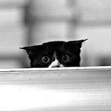 Yezaw Htwe, 18.06.1975, Yangon