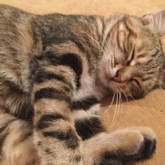 Александр Раченок, 09.02, Одесса