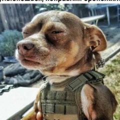 Тихон Мышкин, 31.01.1985, Белгород