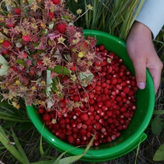 Гузель Тухватуллина, 09.11, Казань