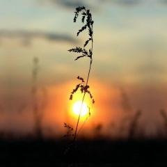 Галина Колошеина, Москва