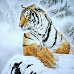 Станислав Николаевич, 26.02, Санкт-Петербург