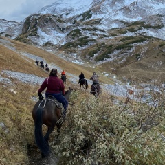 Tatiana Konstantinova, 27.01, Москва