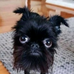 Владимир Гамзин, 18.07.1977, Санкт-Петербург