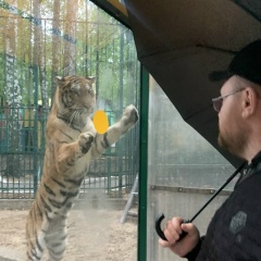Иван Самойлов, 12.06.1982, Тюмень