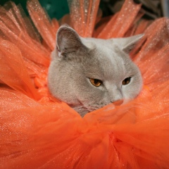 Людмила Третьякова, 27.08, Екатеринбург