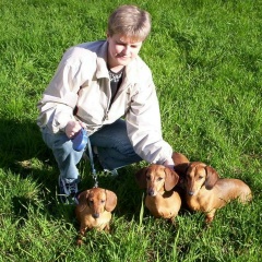 Татьяна Иванова, 14.05.1957, Санкт-Петербург