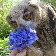 Алина Невзорова, 18.08.2003