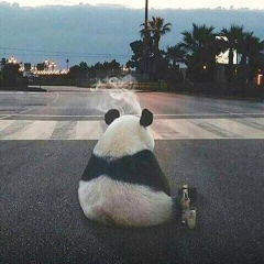 Ануар Мухамедгалимов, 25.06.1995