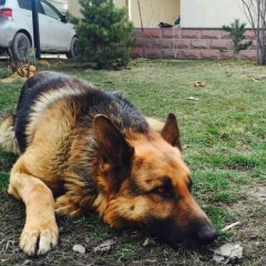 Руслан Габдуллин, 15.02.2000, Семей