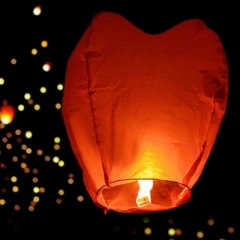 Светлана Гринь, 25.07.1970, Санкт-Петербург