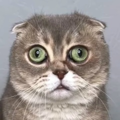 Эдуард Янбеков