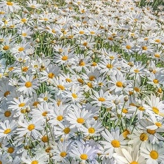 Анастасия Гуляева, 23.08, Одинцово