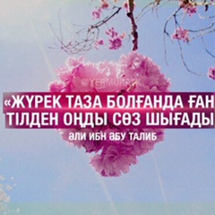 Жанат Бихожаева, 04.01, Астана