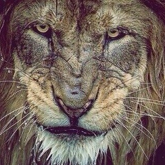 Раджаб Хучиев, 15.01.1993, Москва