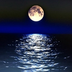 Rozitta De-Gansales, 21.07