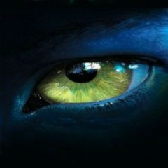 Артём Апостол, 24.01, Киев