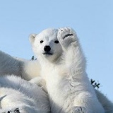 Александр Макаров, 05.08.1989, Кимры