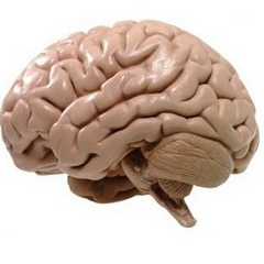 Моск Умный, 01.01.1992, Киев