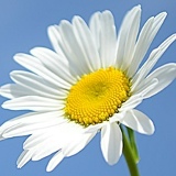 Ольга Мухамедова, 12.06.1974