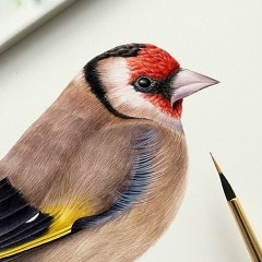 Нина Борисова, 18.01.1983, Москва