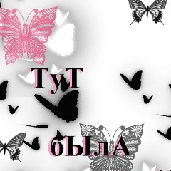 Алина Алхасова