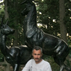 Roman Sapega, Тростянец
