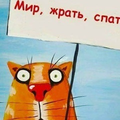 Радамир Шайхутдинов, 11.07, Москва