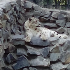 Антон Сердюков, 24.08.1987, Москва