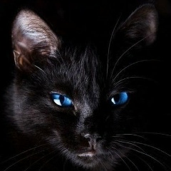 Маша Громова, 31.10.1984, Домодедово