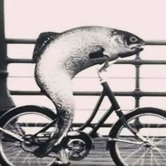 Сергеус Саныч, 10.05.1982, Санкт-Петербург