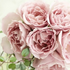 Римма Атнагулова, 09.02.1985, Казань