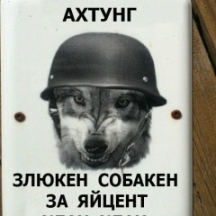 Андрей Сажыенко, New York City