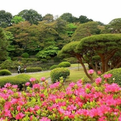 Batyr Кеулимжаев, 24.12.1986, Алматы