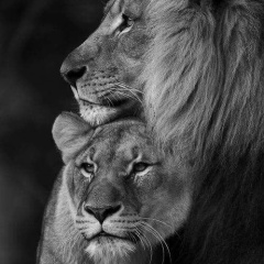 Галина Нурпиисова, 11.08, Омск