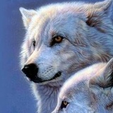 Куба Исраилов, 01.10.1990, Бишкек