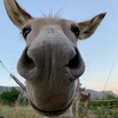 Arsen Rm, 28.02, Санкт-Петербург