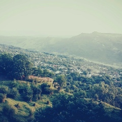 Асхаб Дедигов, 15.07, Грозный