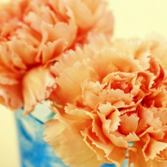 Телегей Тилекеева, 11.01, Новосибирск