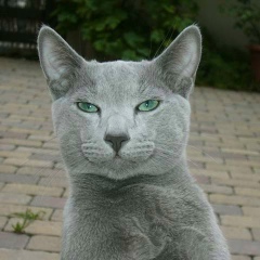 Евгений Арсентьев, 29.08.1992