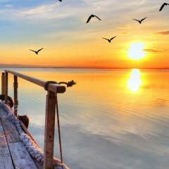 Мария Арсеньева, 13.05.1990