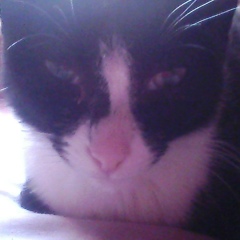 Олеся Ситникова, 29.03, Омск