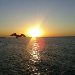 Виктория Сергеевна, 06.06, Санкт-Петербург