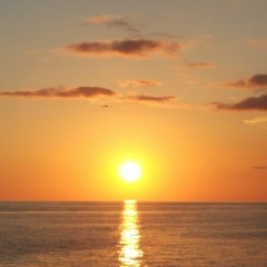 Таня Пронина, 15.12.1980, Шатура