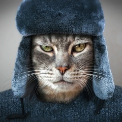 Gold Wind, 21.11.1990