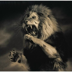 Алымжан Абдуманапов, 12.07.1993, Алматы