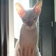 Наташа Городецкая, 29.05.1983, Анапа