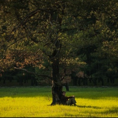 Игорь Коновальчук, 24.12.1987, Каменское / Днепродзержинск