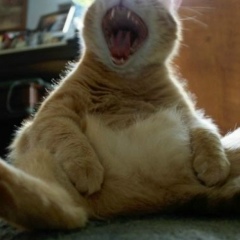 Артём Фёдоров, 15.12.1975, Москва